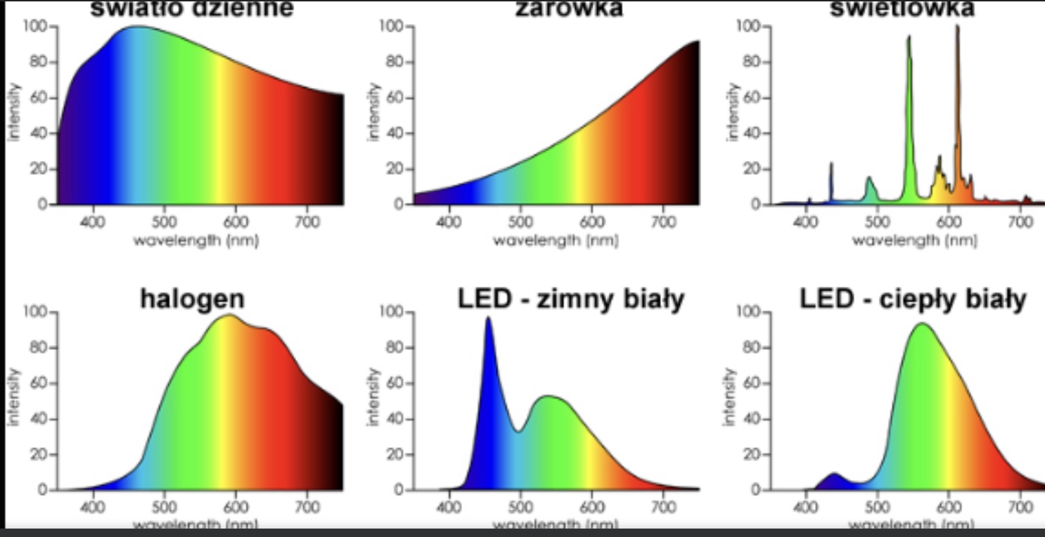 Porównanie spektrów świecenia: światło dzienne, żarówka, świetlówka, halogen, LED zimny i ciepły biały