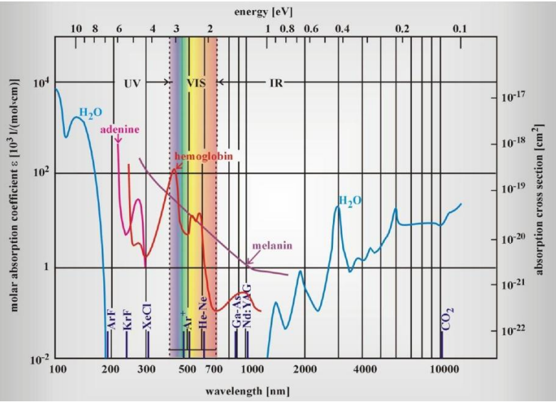 Spektrum absorpcji chromoforów skóry (melanina, hemoglobina, woda, adenina) w zakresie 100–10000 nm z zaznaczonymi liniami laserów medycznych (ArF, KrF, XeCl, Ar⁺, He-Ne, Ga-As, Nd:YAG, CO₂).